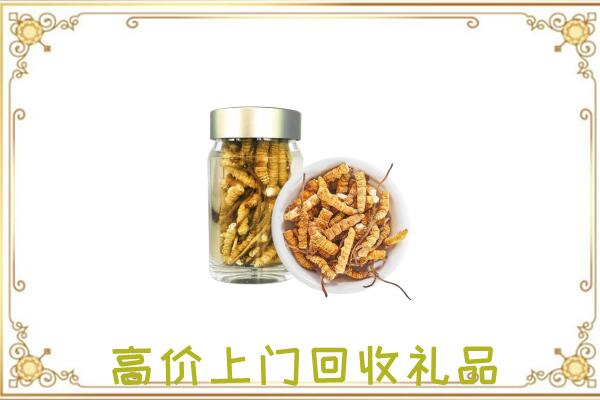 永济周边回收虫草